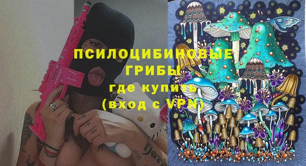 дживик Ладушкин