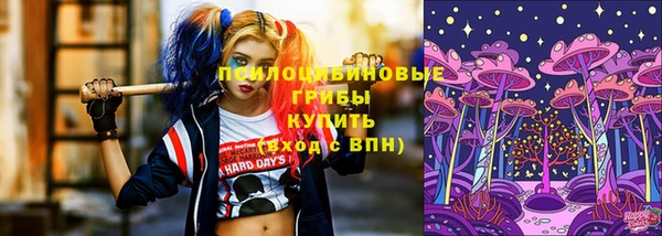 дживик Ладушкин