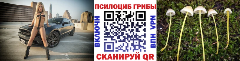 Псилоцибиновые грибы мухоморы  Называевск 
